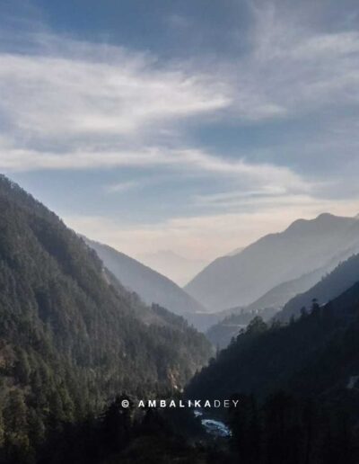 Forested mountain valley with layered ridgelines in Sikkim